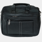 Laptop file bag