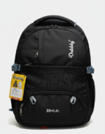 Backpack with laptop partition