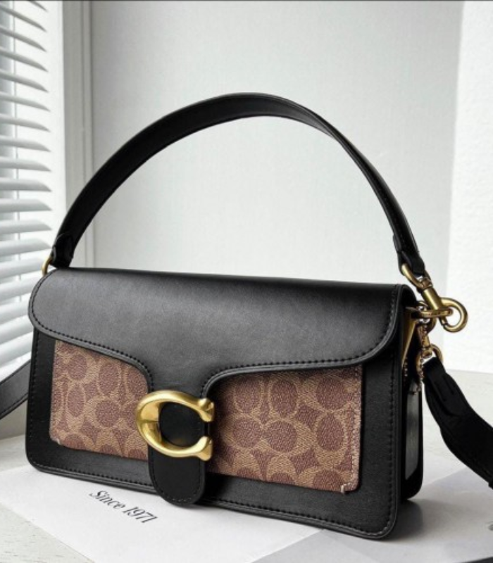 Coach tabby Coch tabby - Image 1